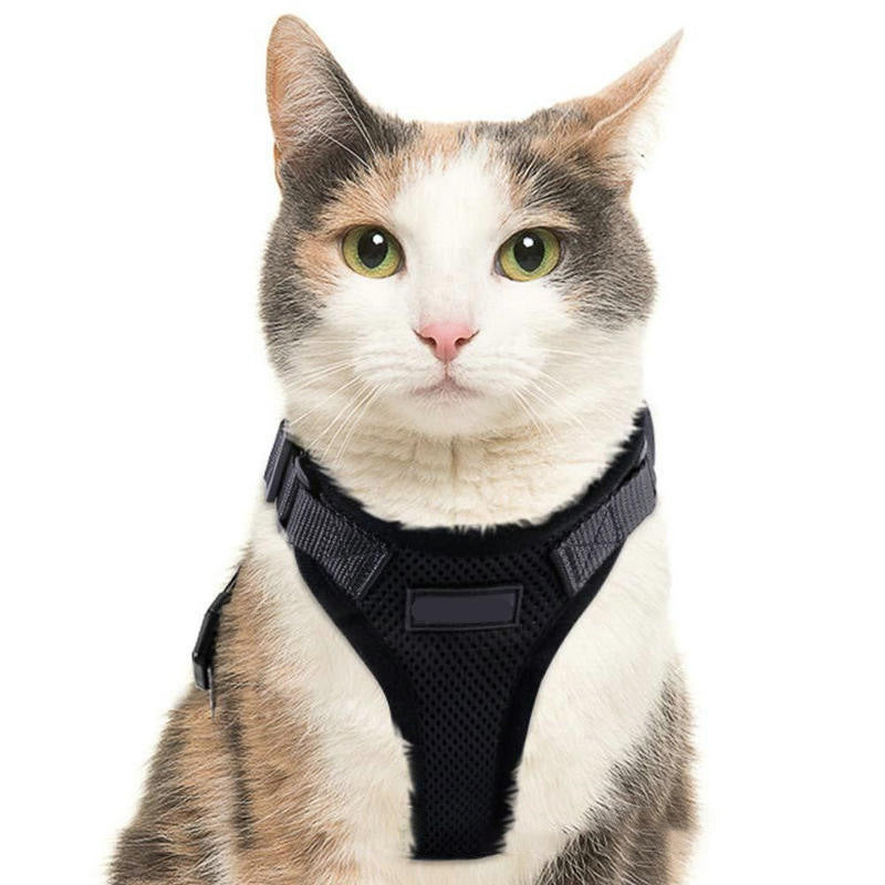 PawProwl-Walking Cat Harness™