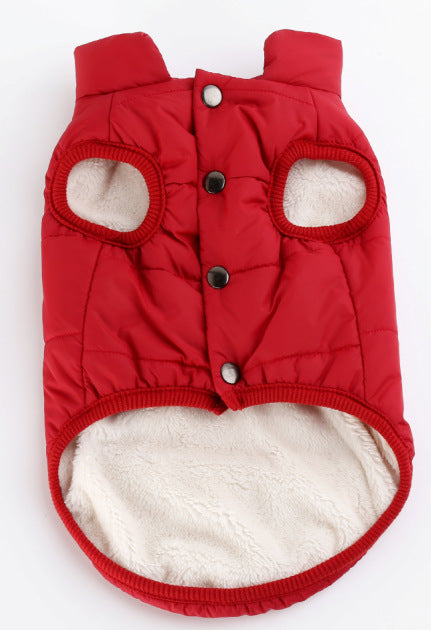 WeatherWard™ Clothing To Keep Your Pet Warm and Dry
