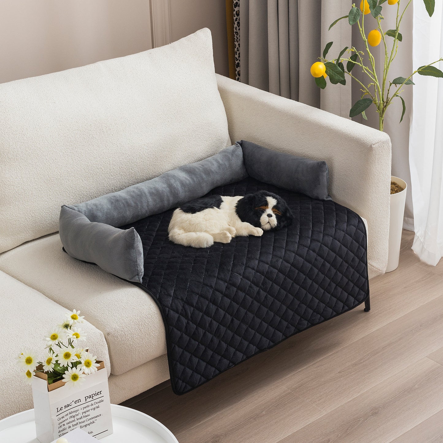 SweetDreams™ Pet Sofa Bed
