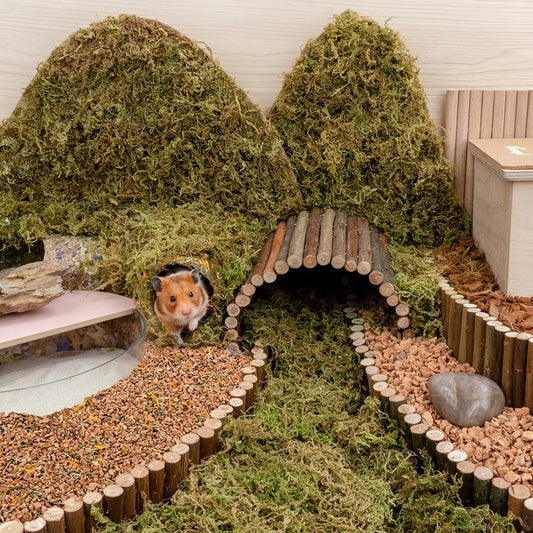 Oak Cork Grain Hamster Bedding - Supplies for Your Hamster Habitat