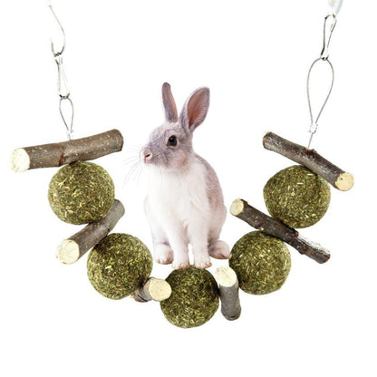 Rabbit Dental Delight™ - Molar Supplies for Happy, Healthy Teeth