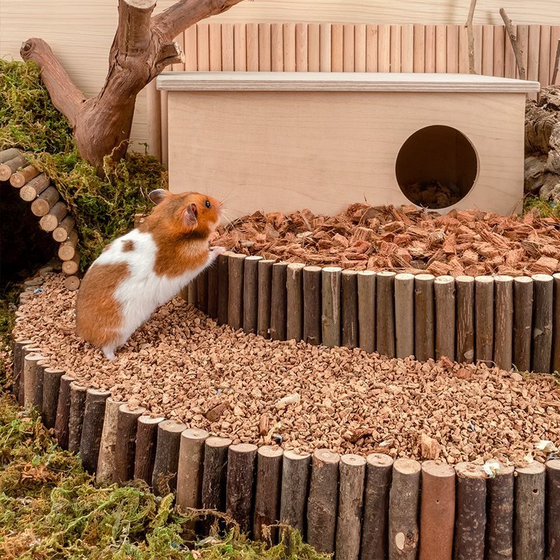 Oak Cork Grain Hamster Bedding - Supplies for Your Hamster Habitat