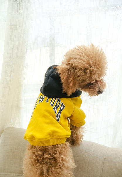 Matching Dog and Owner Hoodie