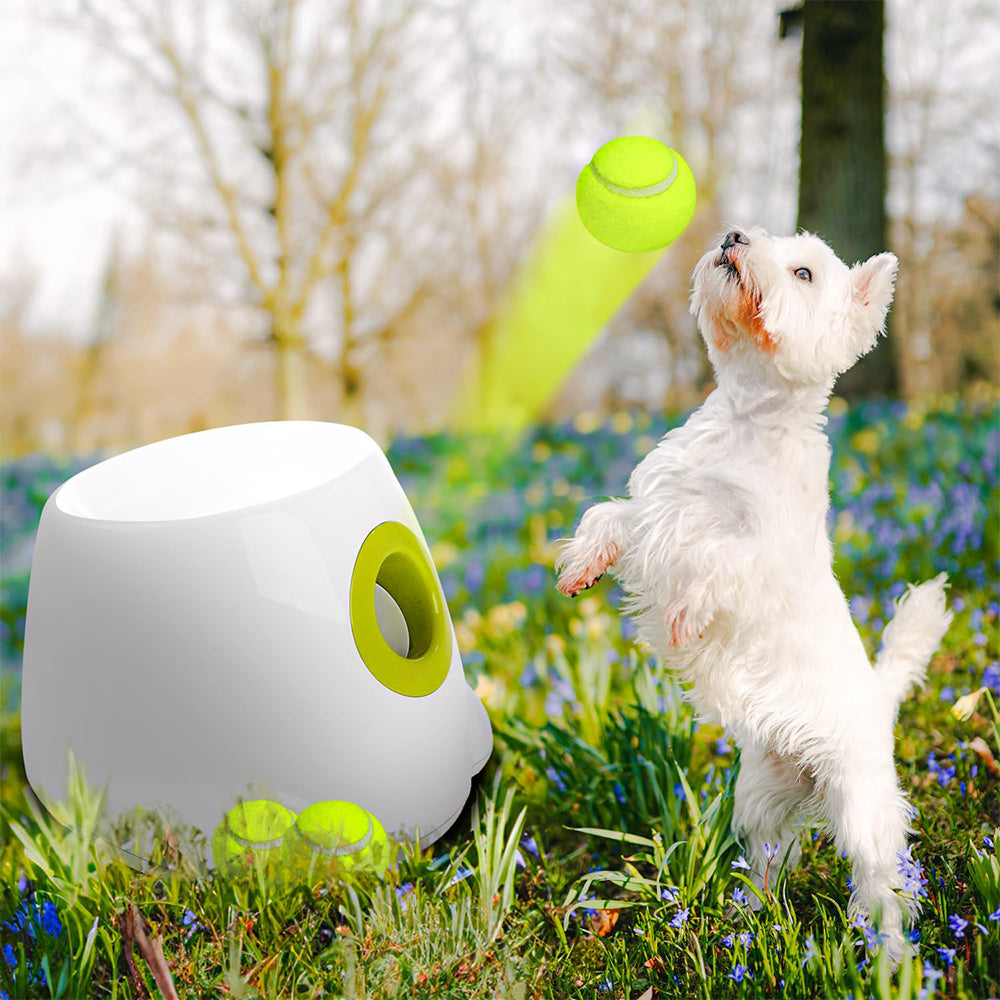 PawsPlay™ Automatic Pet Tennis Launcher