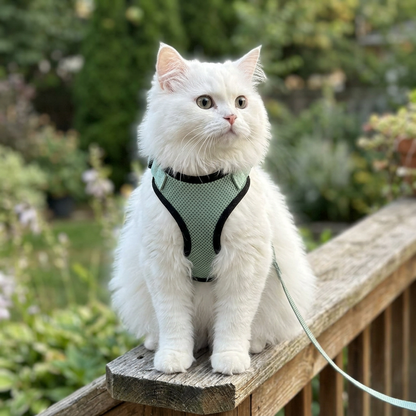 Walking Cat Harness