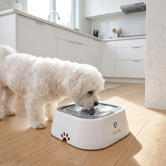 AquaSaver™ Floating Water Bowl