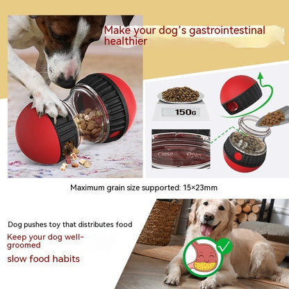 Paws&Puzzles™ Interactive Food Dispensing Toy