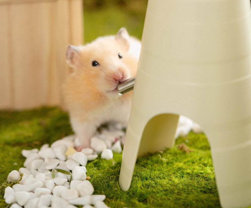 Sip&Serve™ Hamster Water Feeder & Hideout