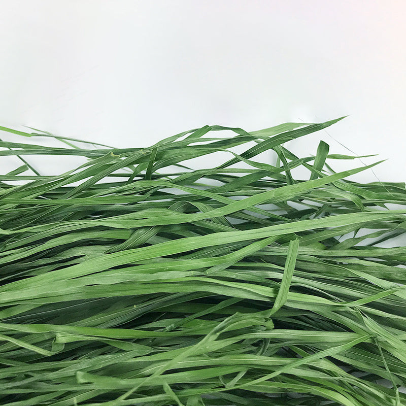 Dried Timothy Hay Snacks