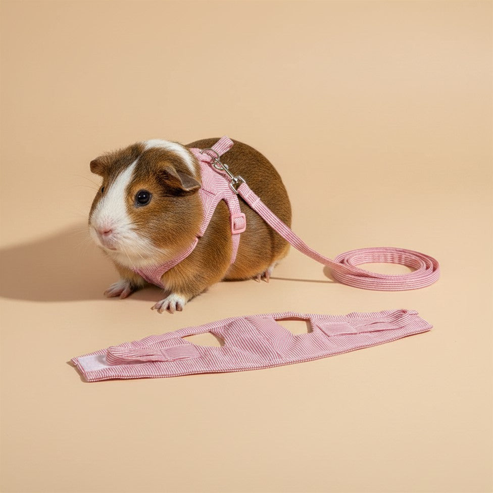 Guinea Pig Harness & Leash Set