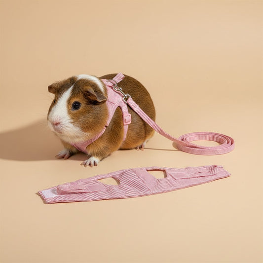 Guinea Pig Harness & Leash Set