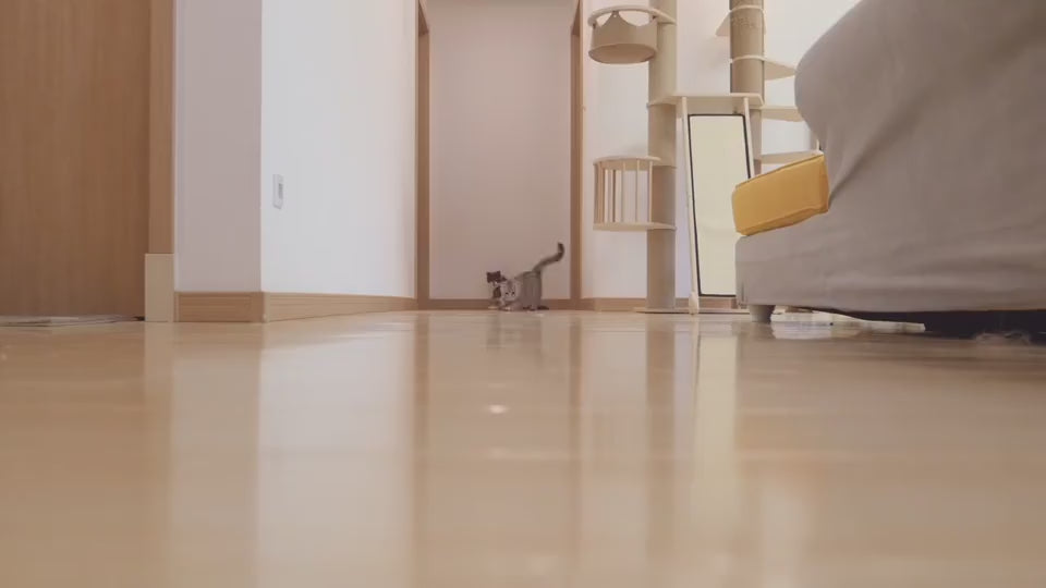 Load video: 